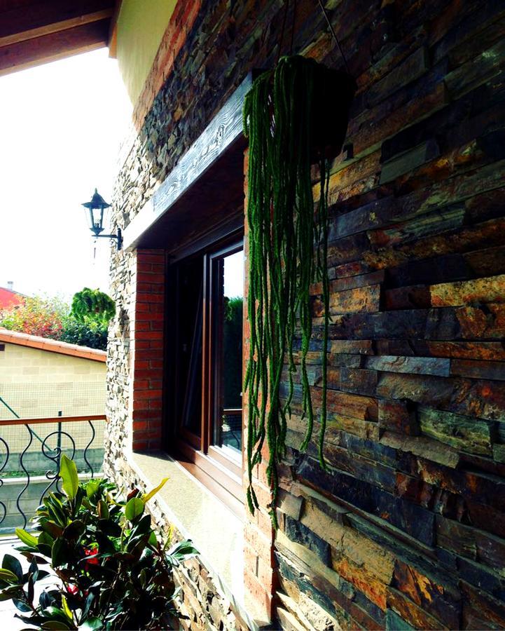 La Aguilerina Apartamentos Rurales Ovinana  Екстер'єр фото